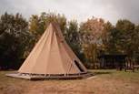 Rewild in style at Hornbeam Hideaway. 