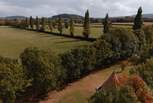 A peaceful haven in rural Herefordshire. 