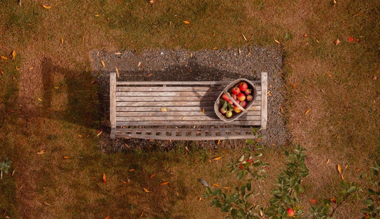 Guests are welcome to pick plump apples, figs and plums to enjoy.
