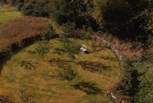 The orchard is a blissful place to sit and soak up your surroundings. 