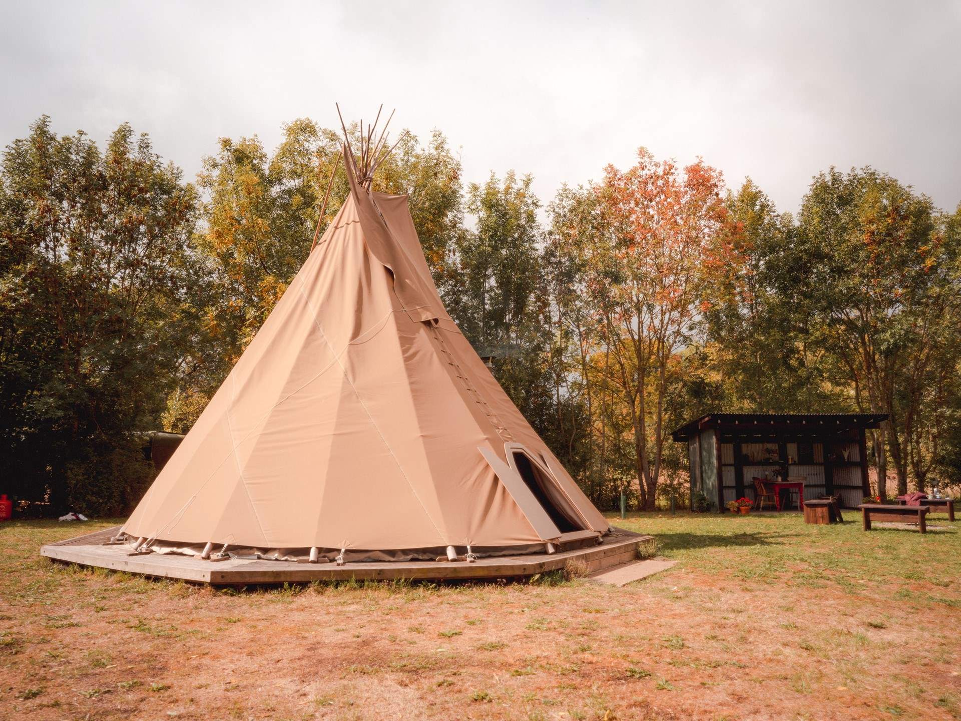 Rewild in style at Hornbeam Hideaway. 