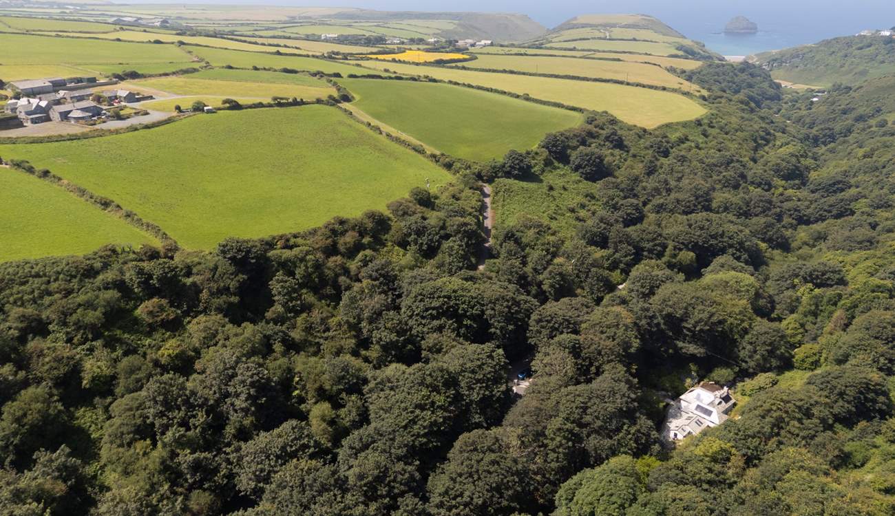 Nestled amongst the trees, yet only a short walk to the beach, this location delivers the best of both worlds.