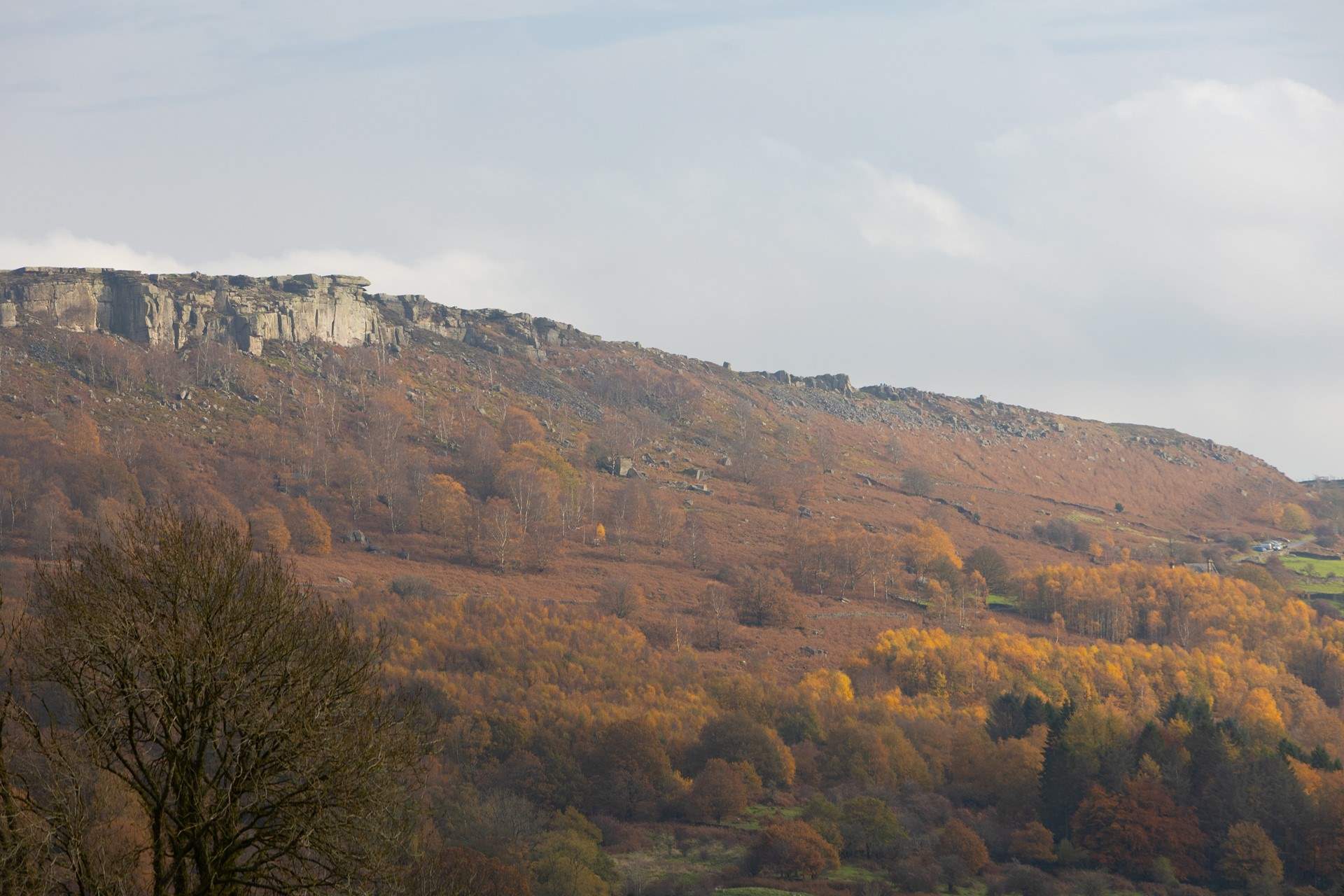 Autumn colours in the sunshine. 
