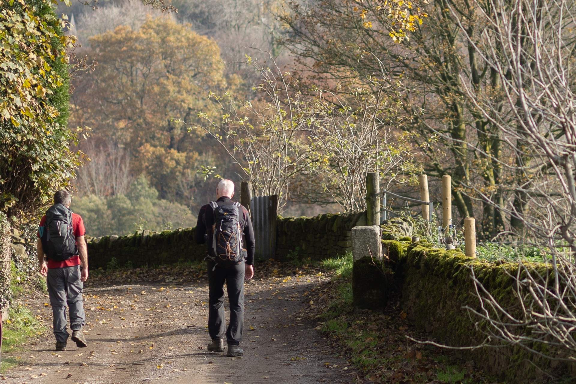 Walkers on the track in front of the cottage. 