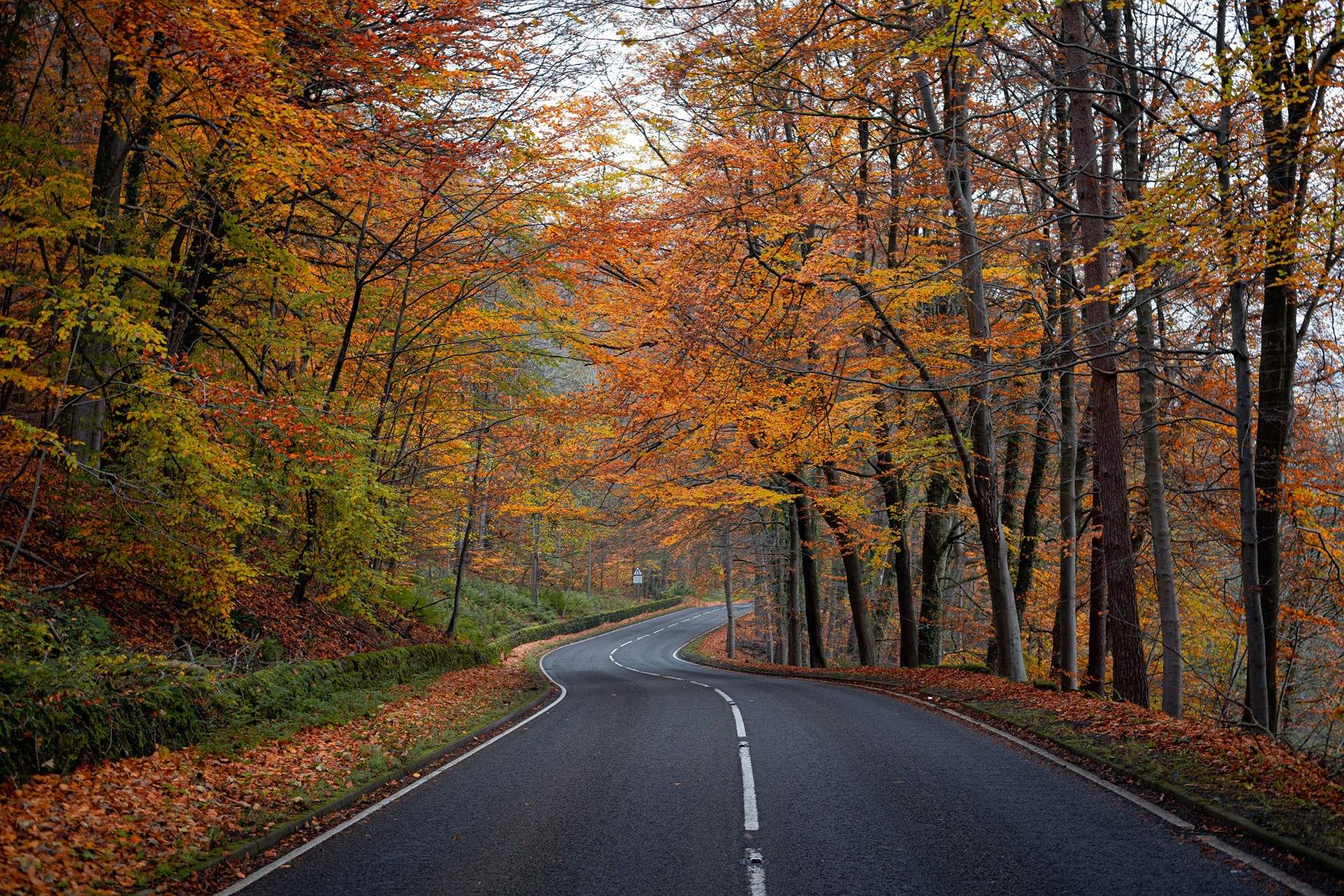 Whatever the season the Peak District will not disappoint. 