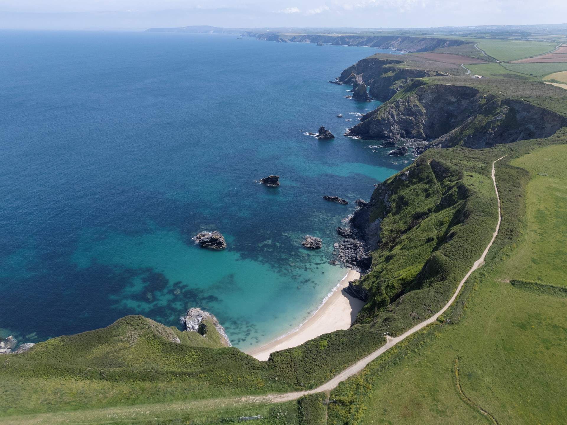 Head to Gwithian for some seal spotting or sea swimming.