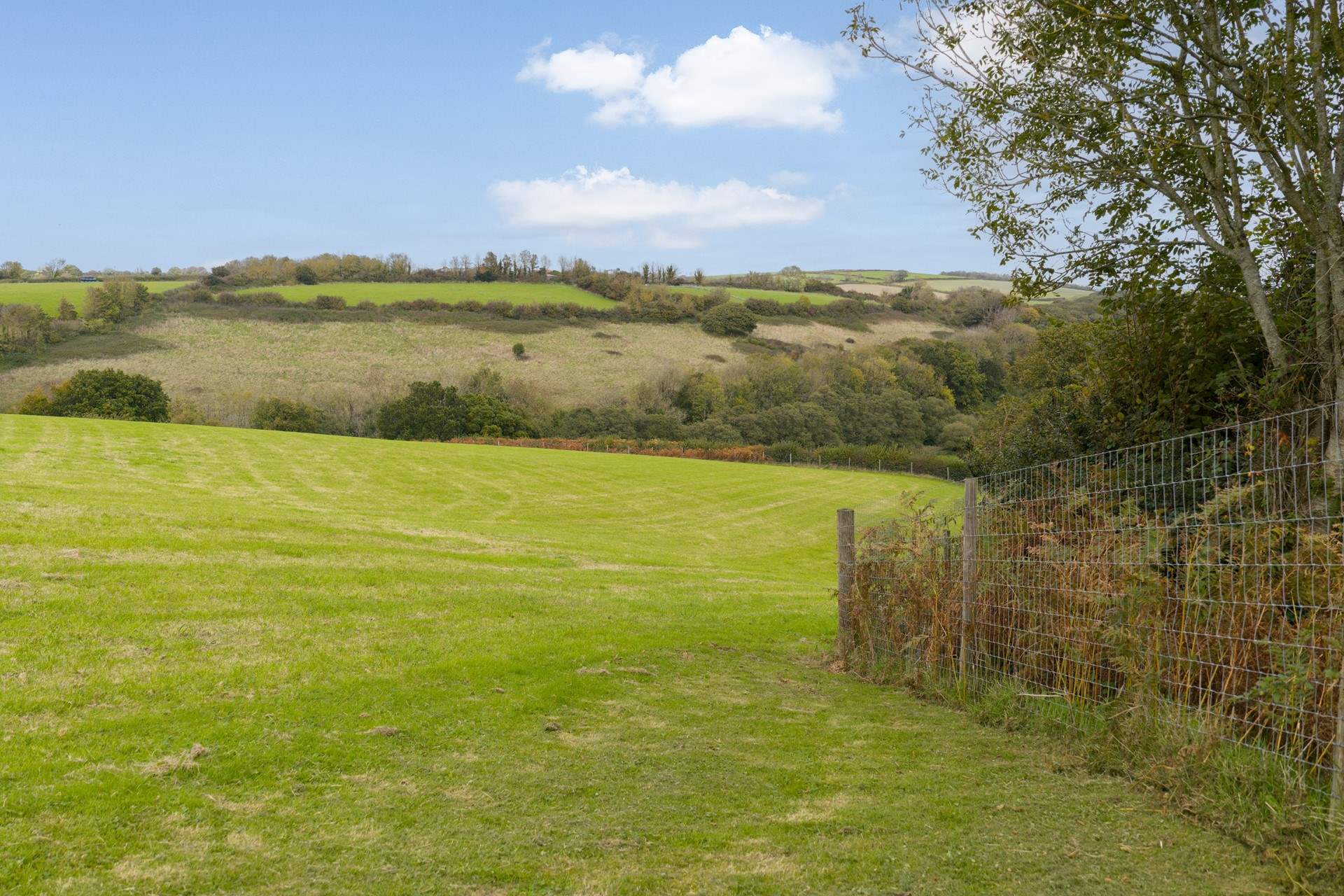 The four acre dog field is fully enclosed so your dogs can run free to their hearts' content!