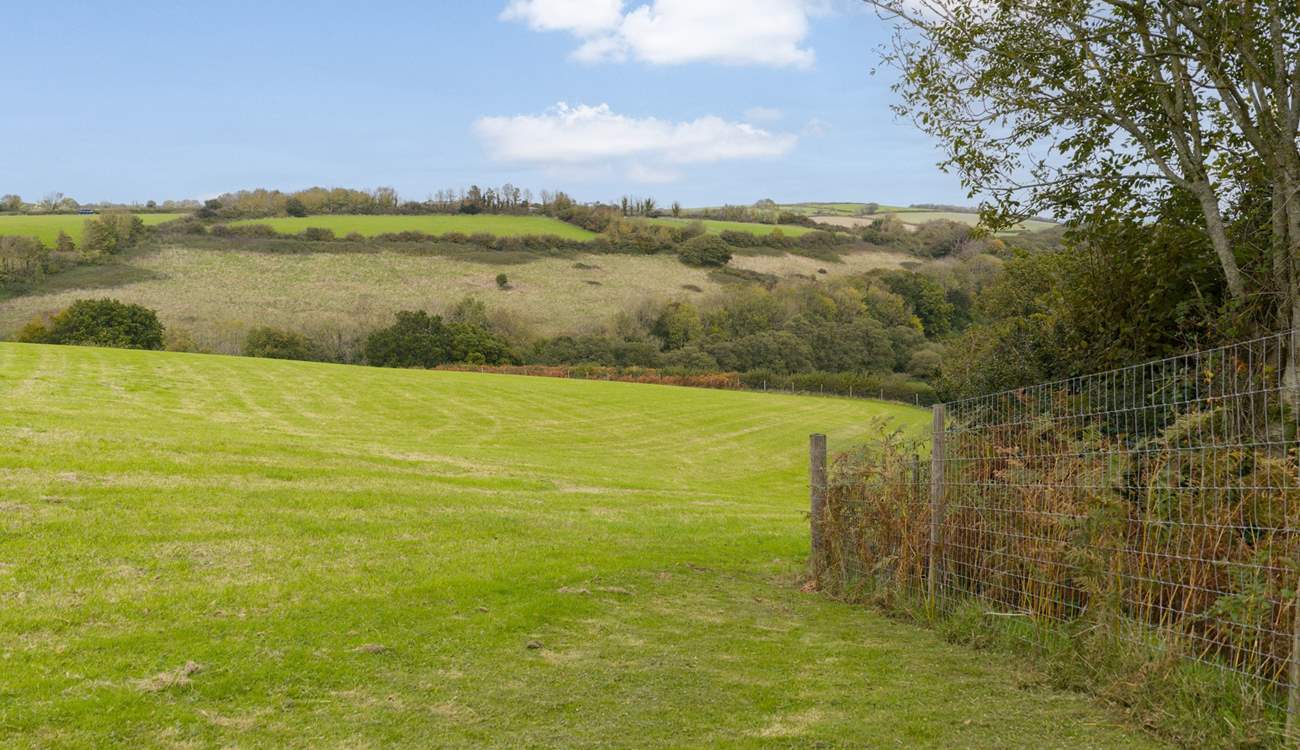 The four acre dog field is fully enclosed so your dogs can run free to their hearts' content!