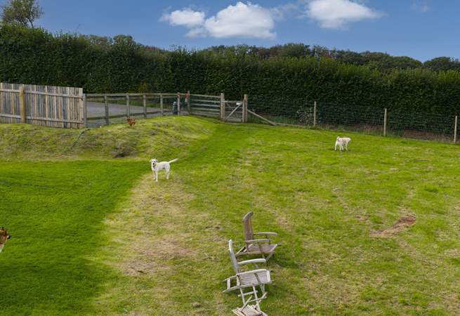 As the sun rises head out to the dog field or down into the woods.