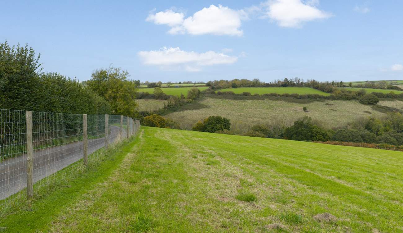 The field has been fenced off meaning your dog can enjoy some off-lead time.