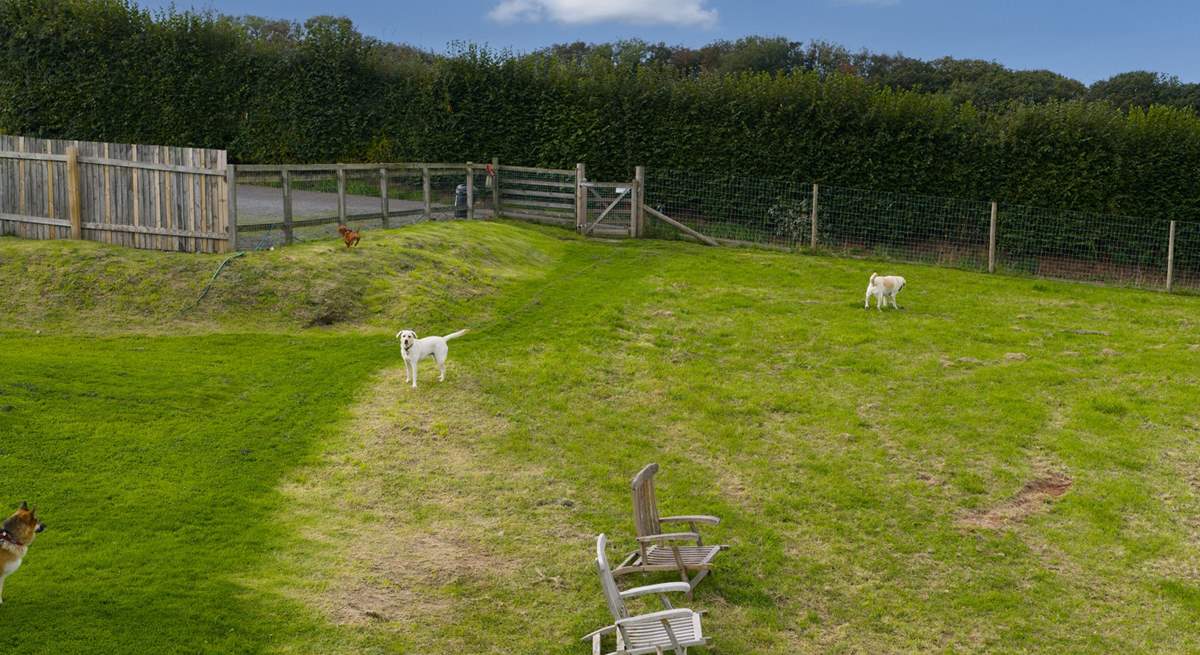 You even have a dedicated dog field.