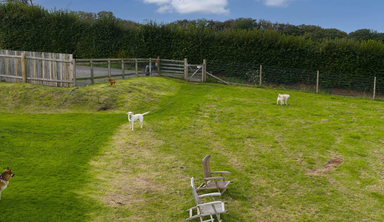 You even have a dedicated dog field.