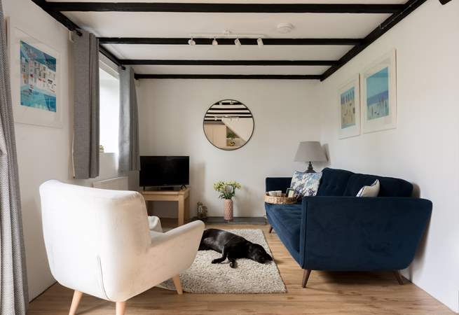 The perfect spot for a family film night with the family pooch.