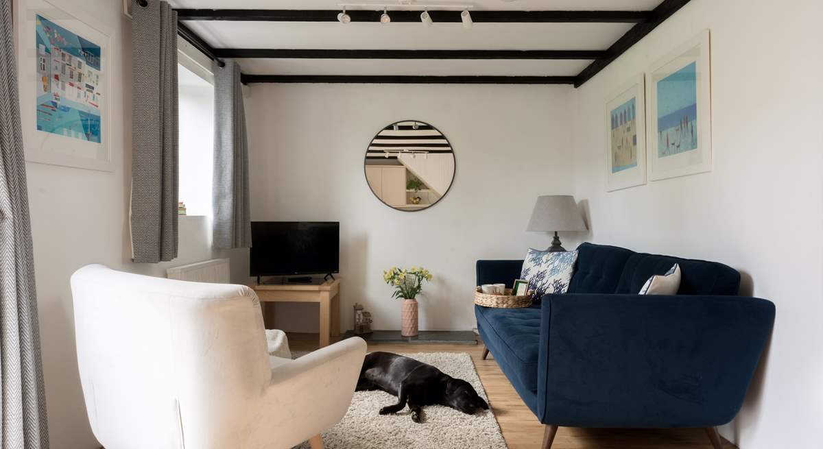 The perfect spot for a family film night with the family pooch.