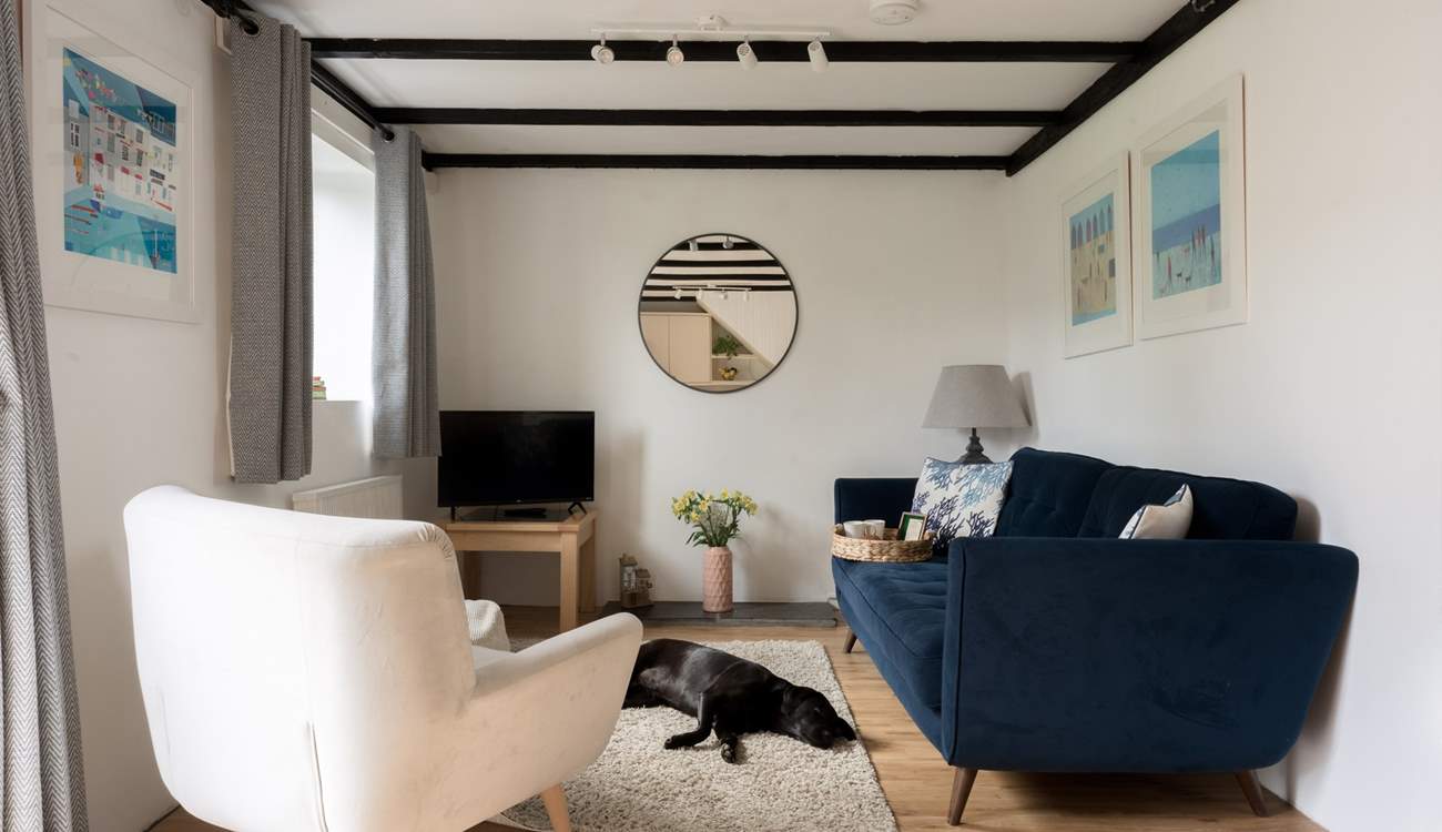 The perfect spot for a family film night with the family pooch.