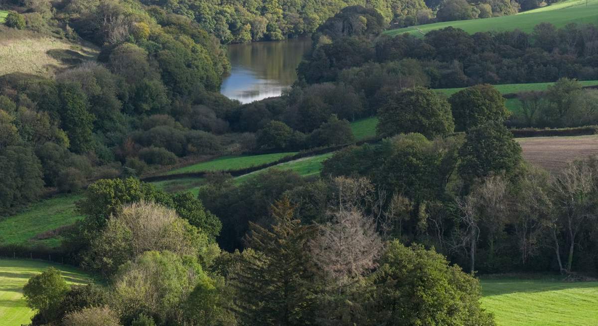 Take time to explore the woodland walks which surround Robin Hill Farm.