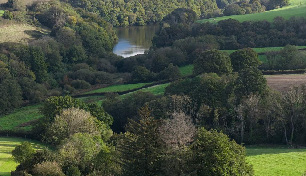 Take time to explore the woodland walks which surround Robin Hill Farm.