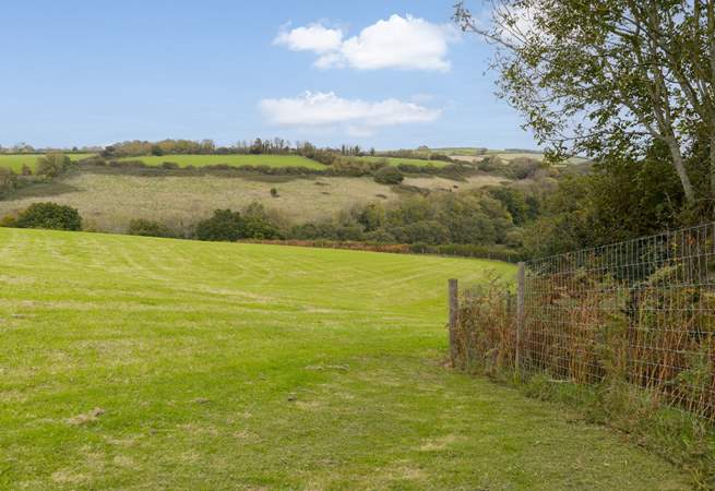 The family pooch will love the fully enclosed dog field.