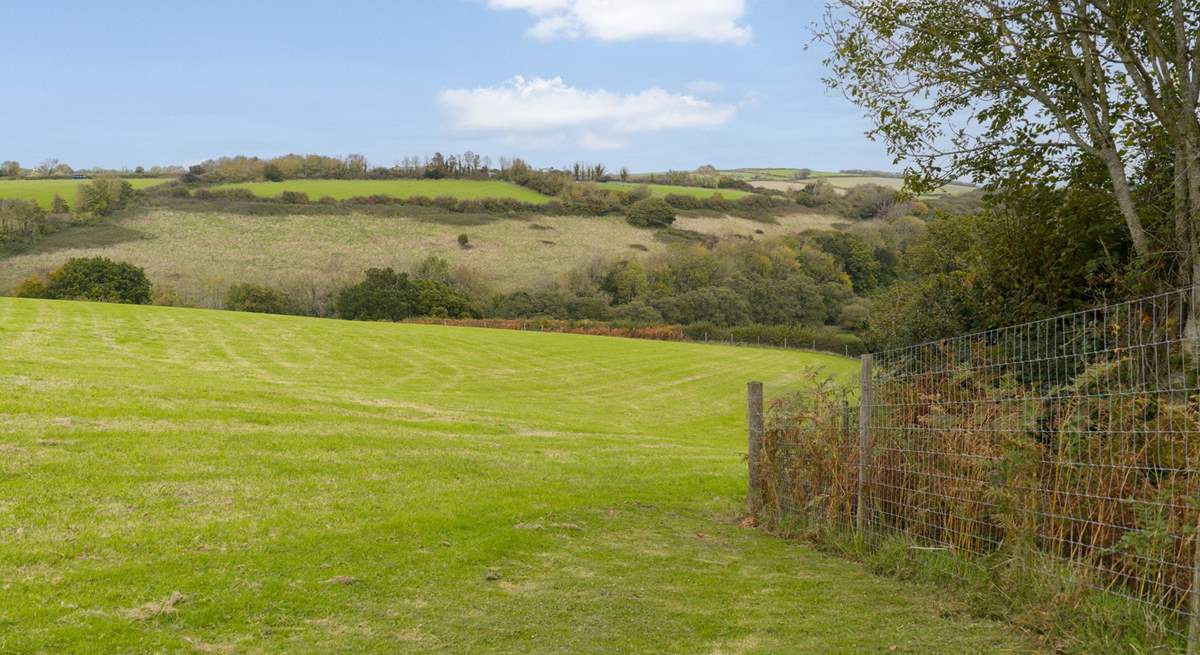 Your four-legged friend will love the dog-friendly four acre field.