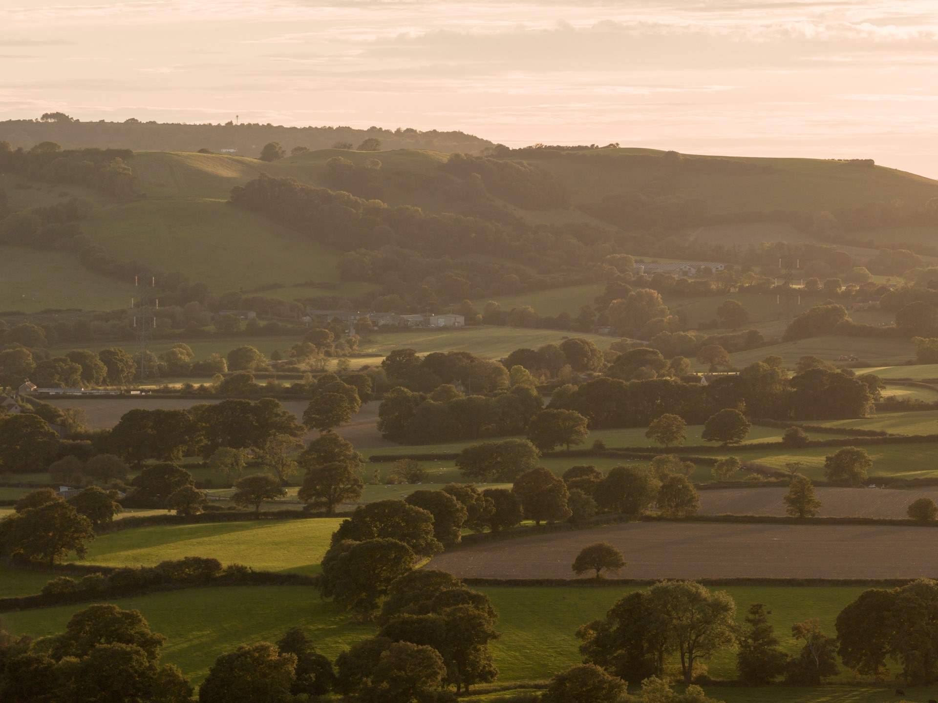 Just a sample of the beautiful rolling Dorset countryside around Loaf.