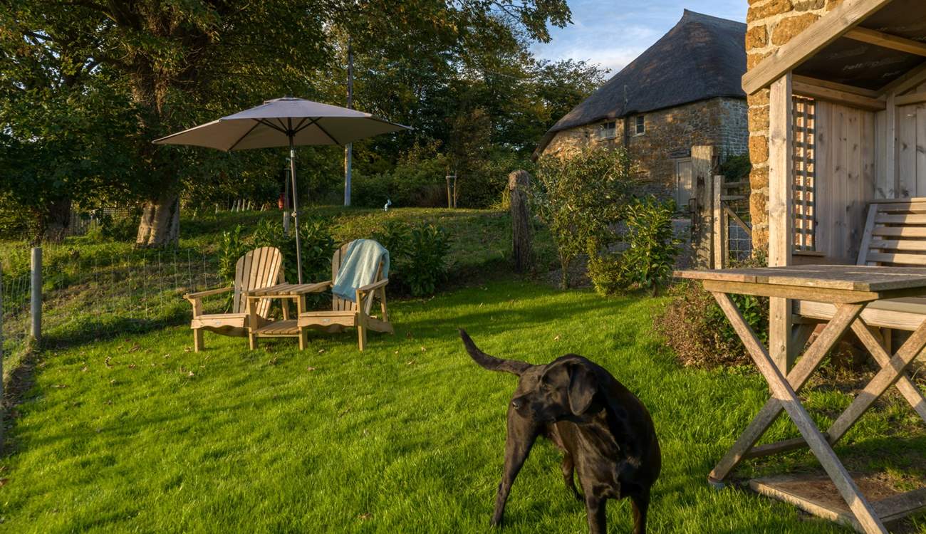 Your four-legged friends will enjoy the enclosed space. The garden has chairs, a barbecue and an arbour to cosy up and drink in the views across the Marshwood Vale.