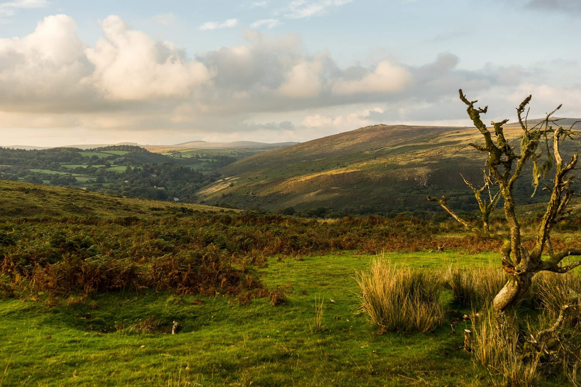 If adventure and marvel on foot is what you seek, the magic of Dartmoor and all its incredible inhabitants are only a 40 minute drive away. This is a day out you will never forget.
