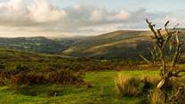 If adventure and marvel on foot is what you seek, the magic of Dartmoor and all its incredible inhabitants are only a 40 minute drive away. This is a day out you will never forget.