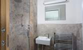 The luxury wet-room in the snug. - Thumbnail Image