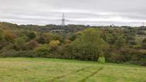 Enjoy beautiful walks around the farm and the surrounding countryside.