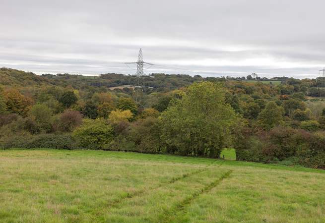 Enjoy beautiful walks around the farm and the surrounding countryside.