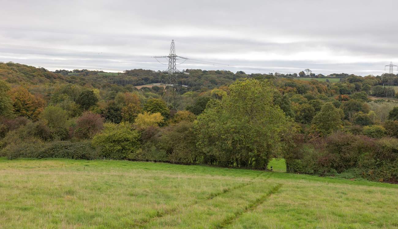 Enjoy beautiful walks around the farm and the surrounding countryside.