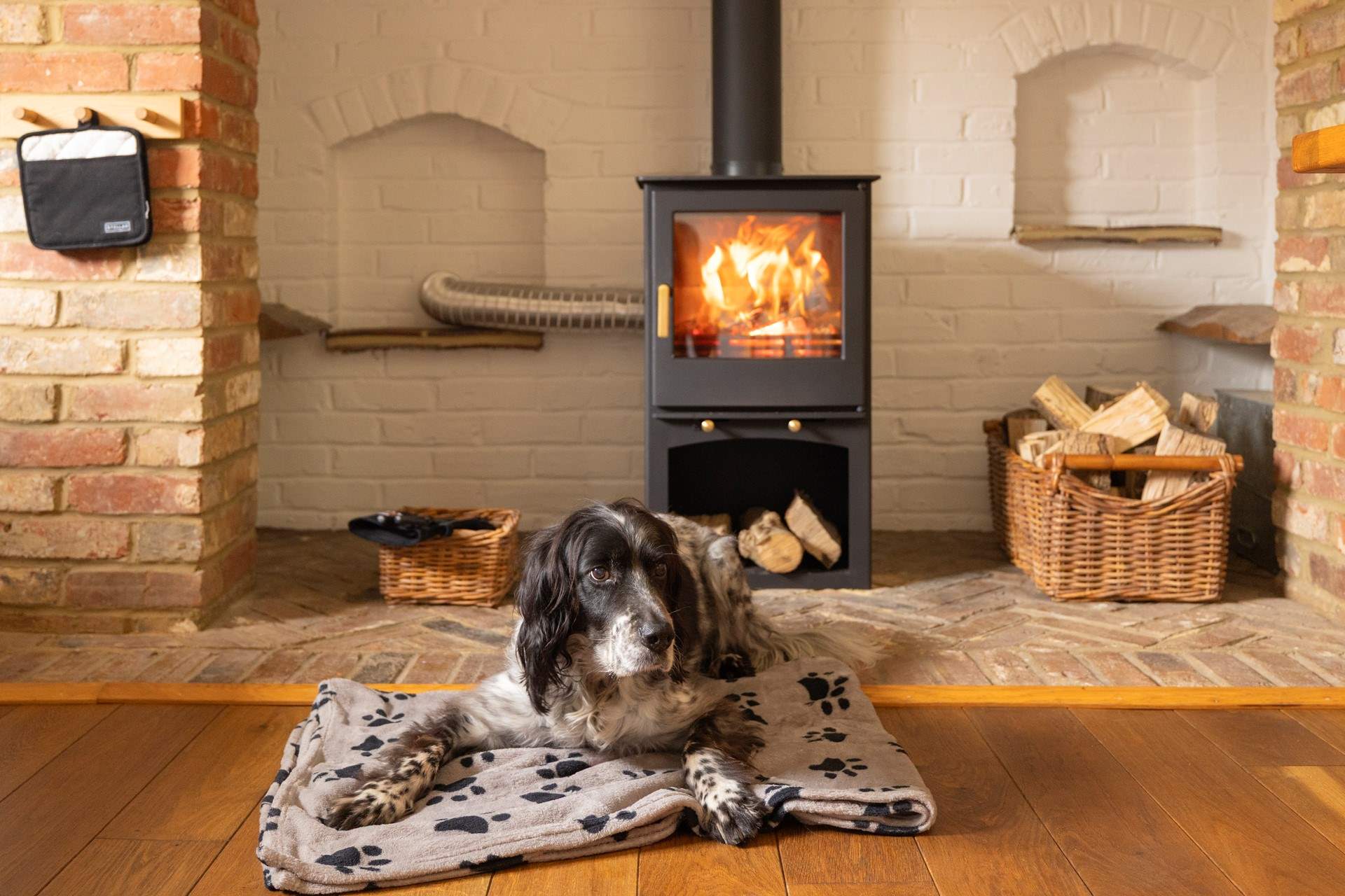 Dogs will love staying here too!