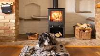 Dogs will love staying here too!