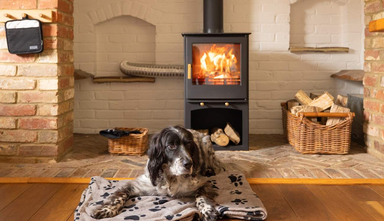 Dogs will love staying here too!