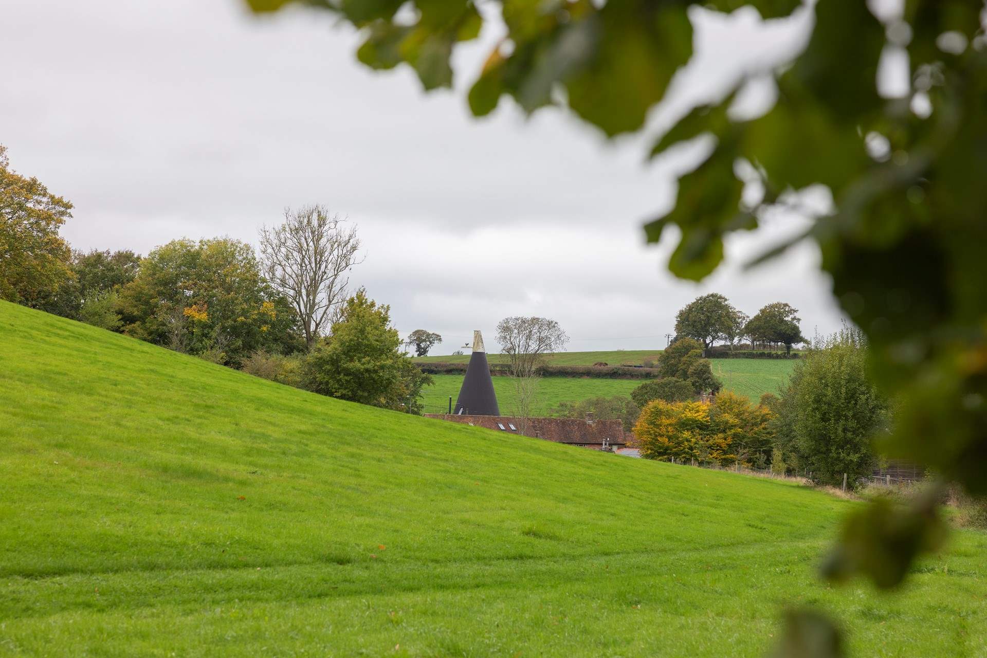 Pomona Annexe is perfectly situated for exploring the 1066 Country Walk.