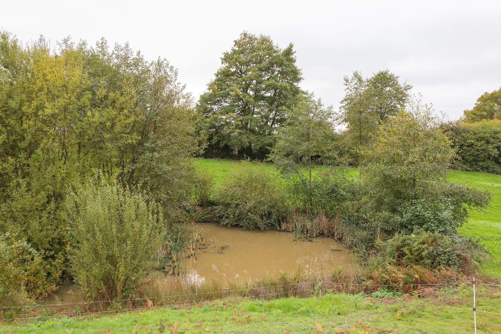 Please supervise children and pets at all times as there are streams and three unfenced ponds.