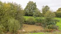 Please supervise children and pets at all times as there are streams and three unfenced ponds.