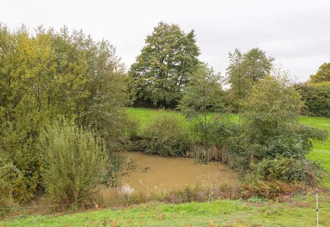 Please supervise children and pets at all times as there are streams and three unfenced ponds.