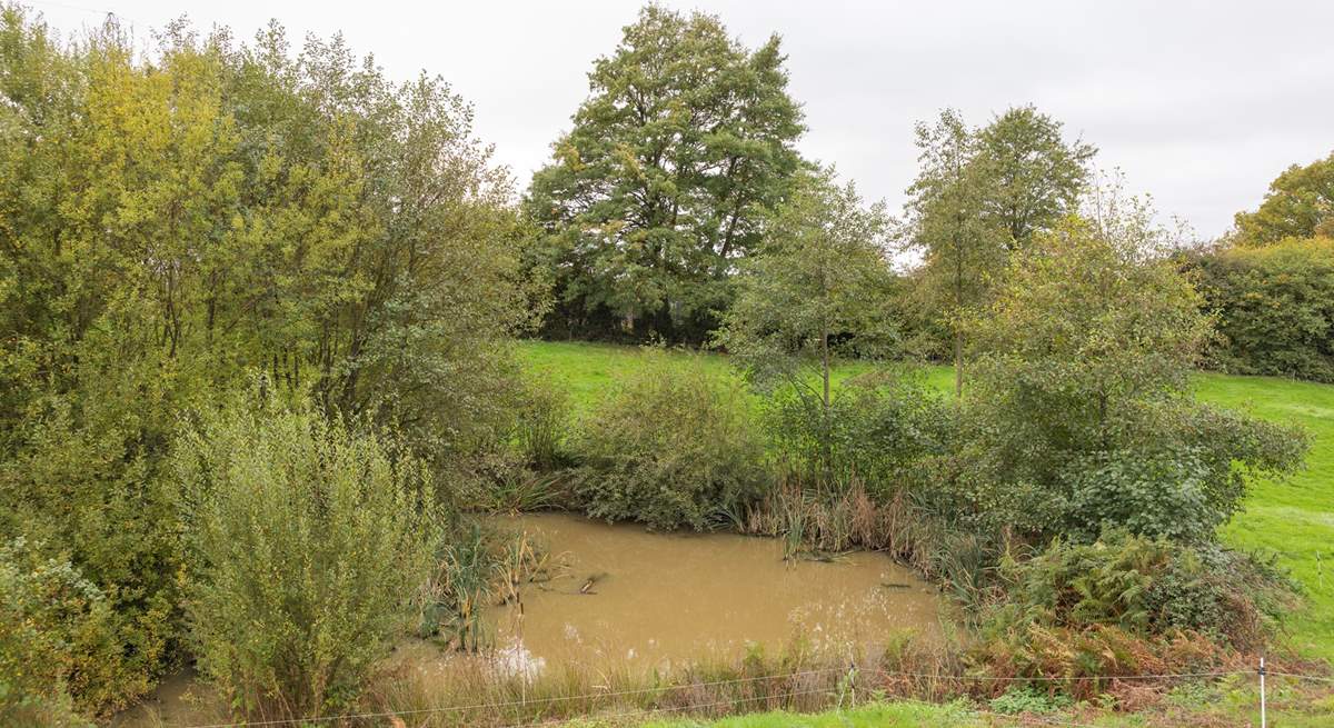 Please supervise children and pets at all times as there are streams and three unfenced ponds.