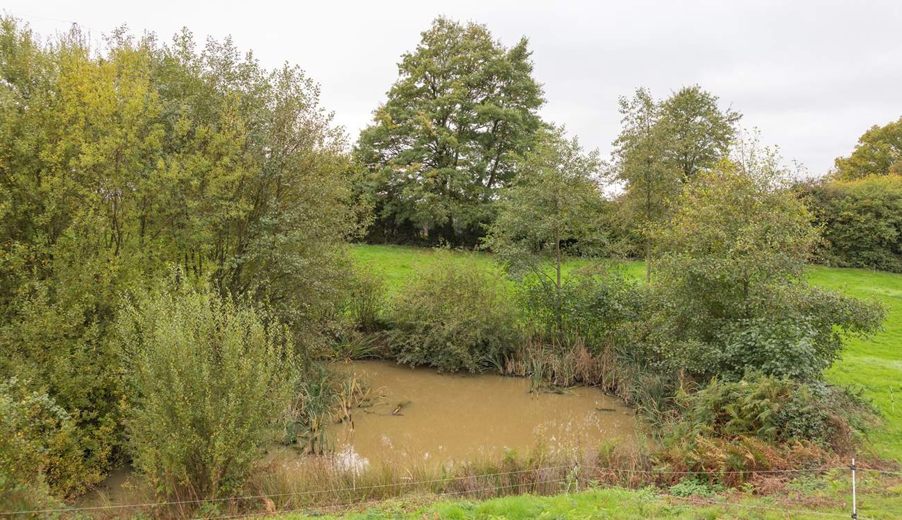Please supervise children and pets at all times as there are streams and three unfenced ponds.