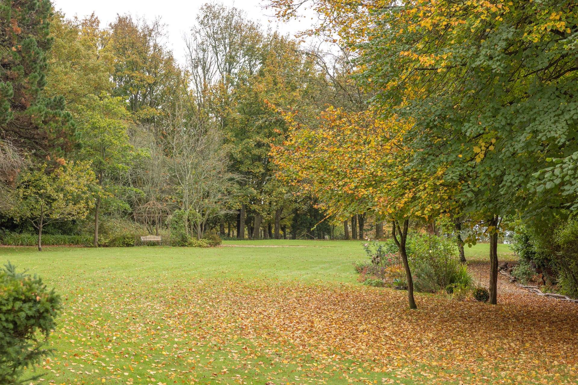 Take a walk down to the paddock.