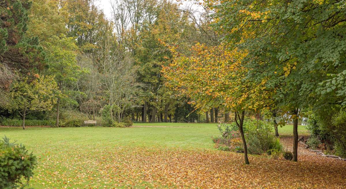 Take a walk down to the paddock.