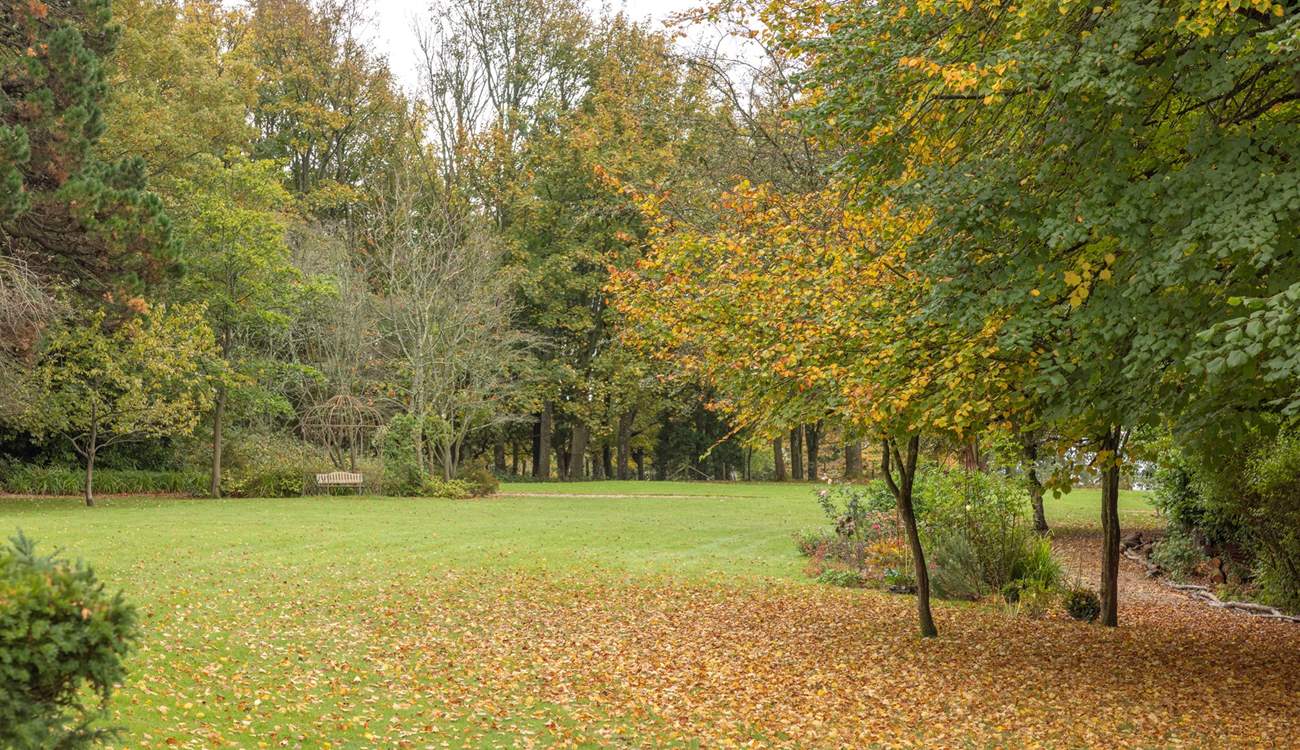 Take a walk down to the paddock.