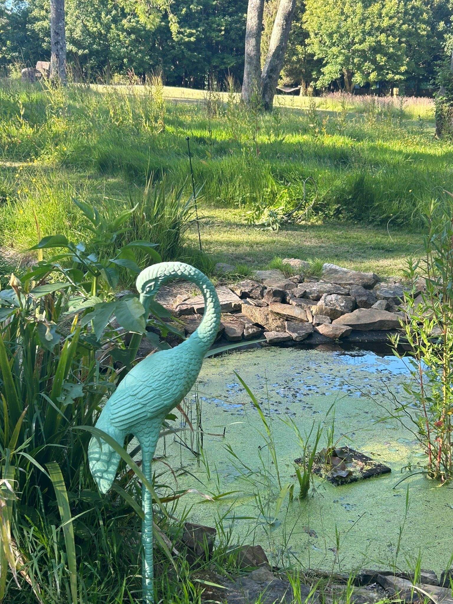 Listen to the sounds of mother nature by the pond.