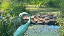 Listen to the sounds of mother nature by the pond.