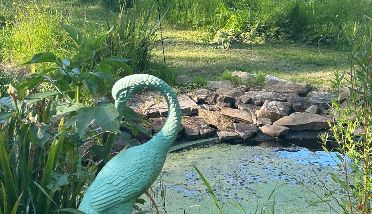 Listen to the sounds of mother nature by the pond.