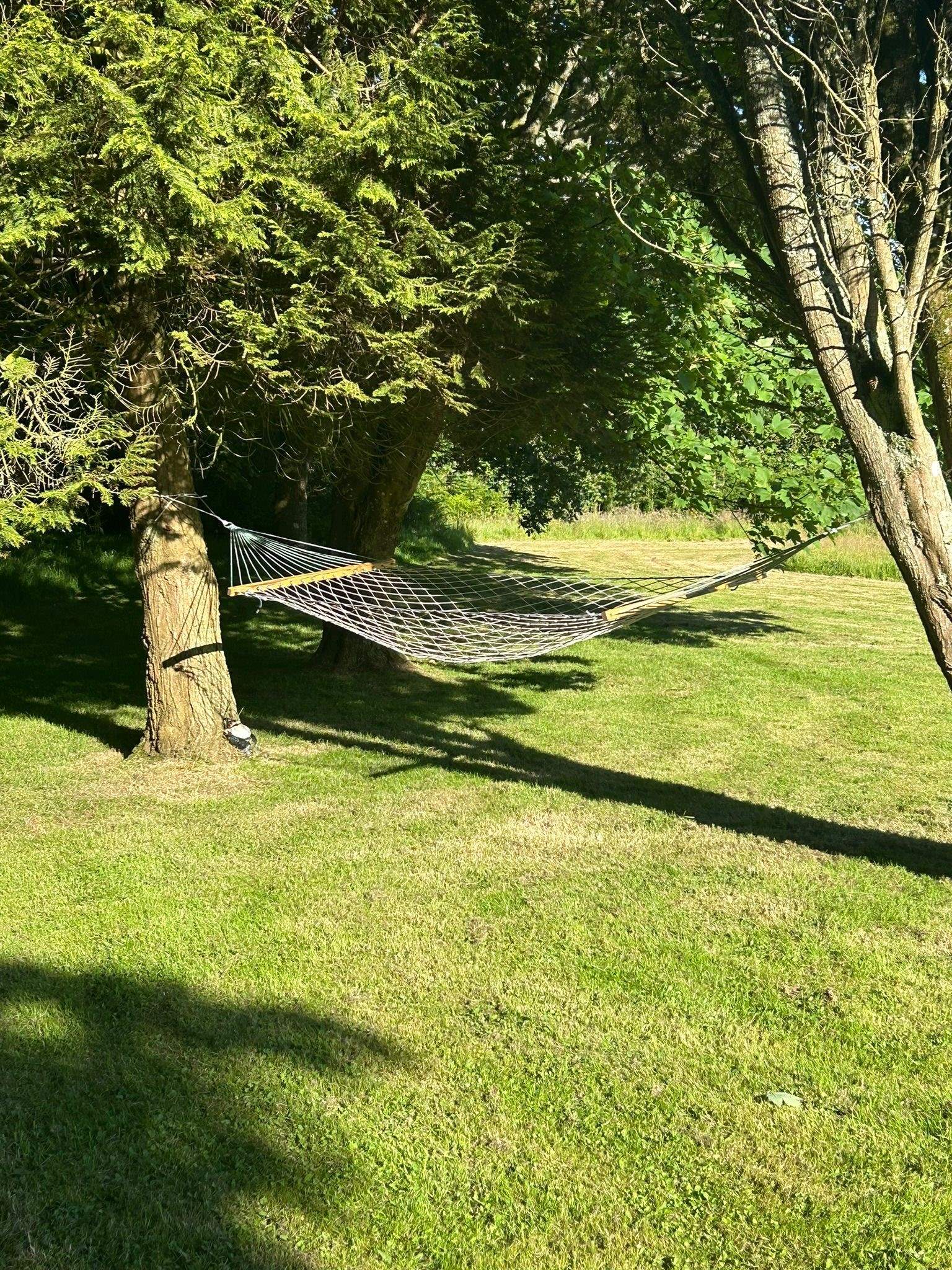 Stretch out on the hammock with a good book.