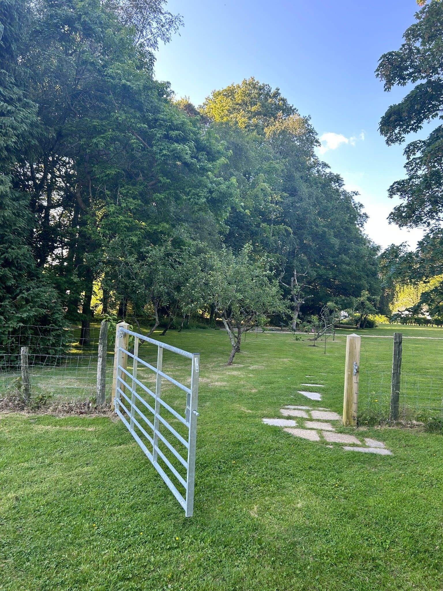 Entrance to the paddock.
