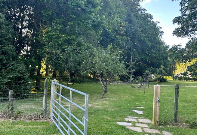 Entrance to the paddock.