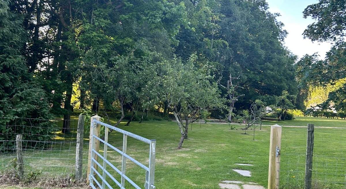 Entrance to the paddock.